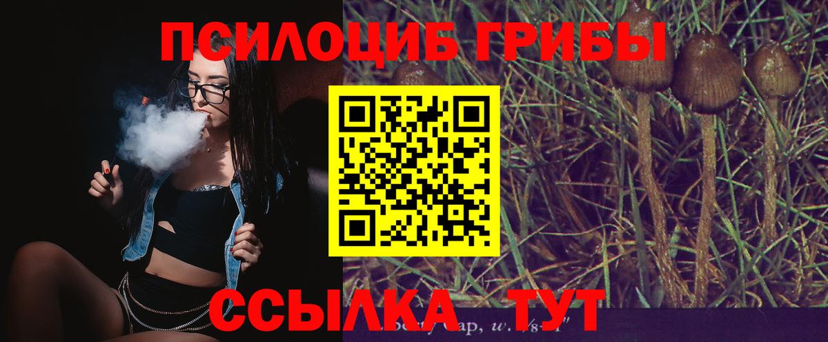 Псилоцибиновые грибы ЛСД Южноуральск